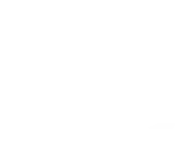 Logo AL blanc footer